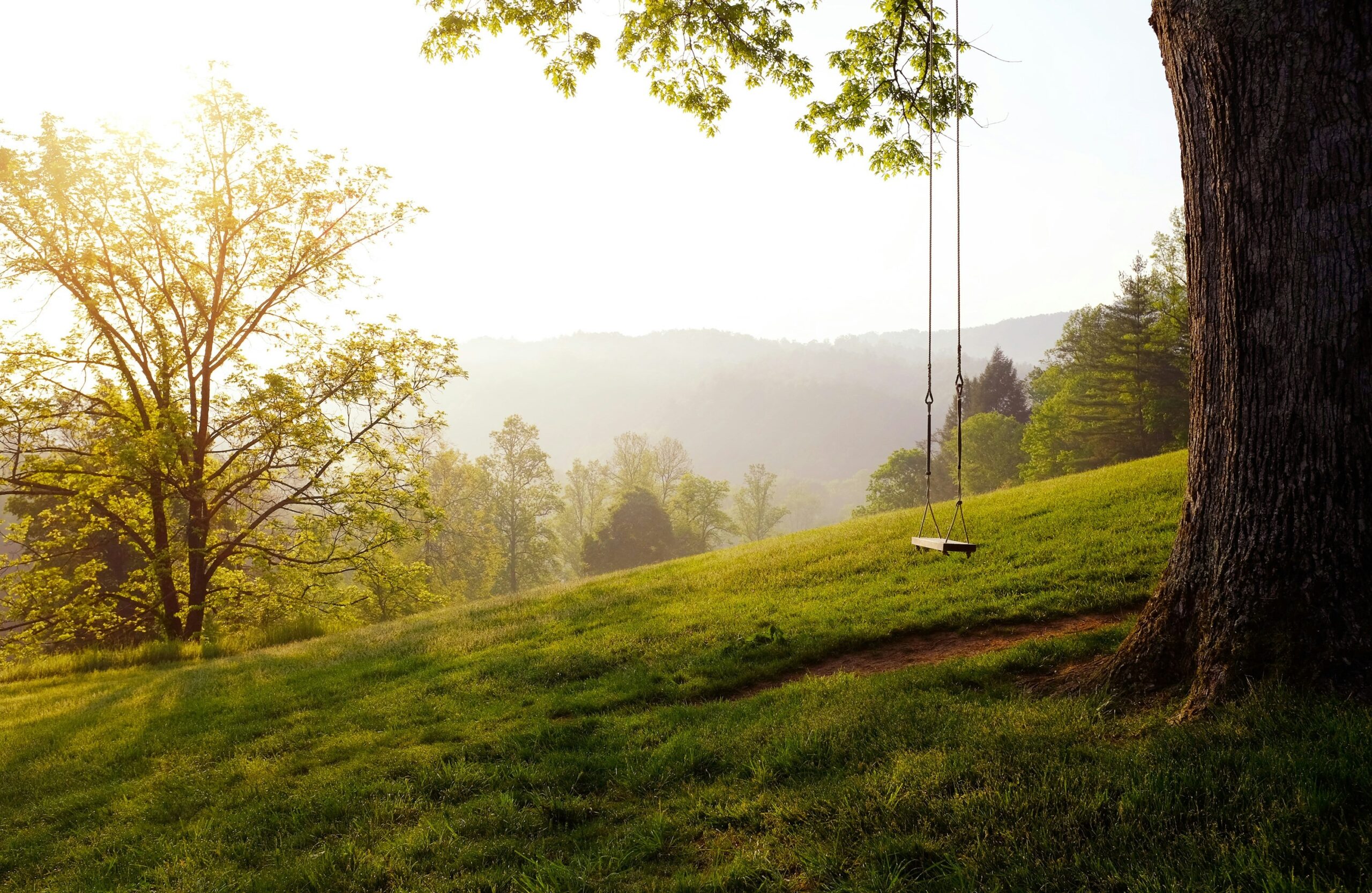 Hello World Featured Image